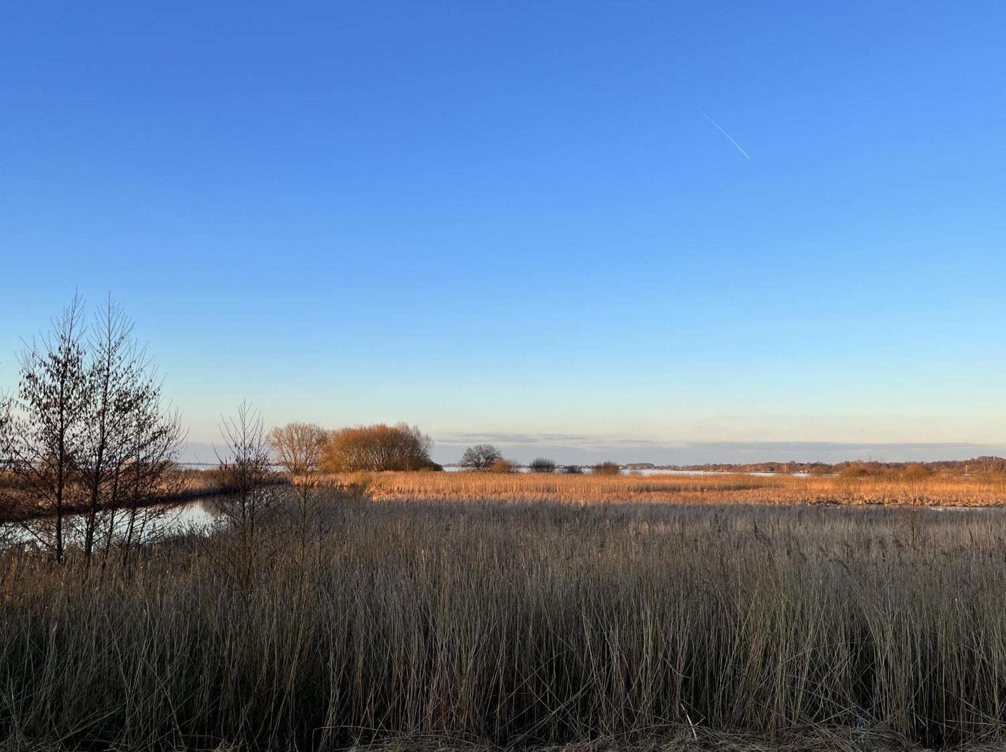 Hueder Hof Am Duemmer See Aparthotel Phòng bức ảnh